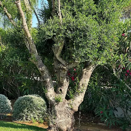 Casa Felles - Villa *